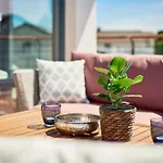 In By Interhome Dom wakacyjny *